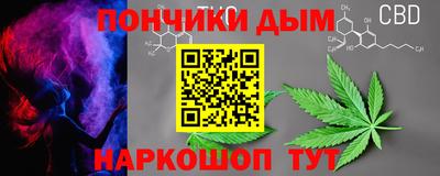 шишки Братск