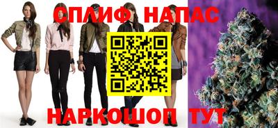 шишки Братск