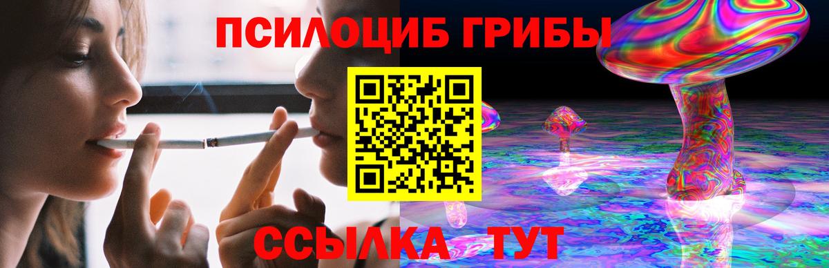 Псилоцибиновые грибы Magic Shrooms Вязники
