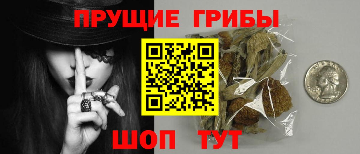 Вязники  Галлюциногенные грибы GOLDEN TEACHER  Вход с VPN 